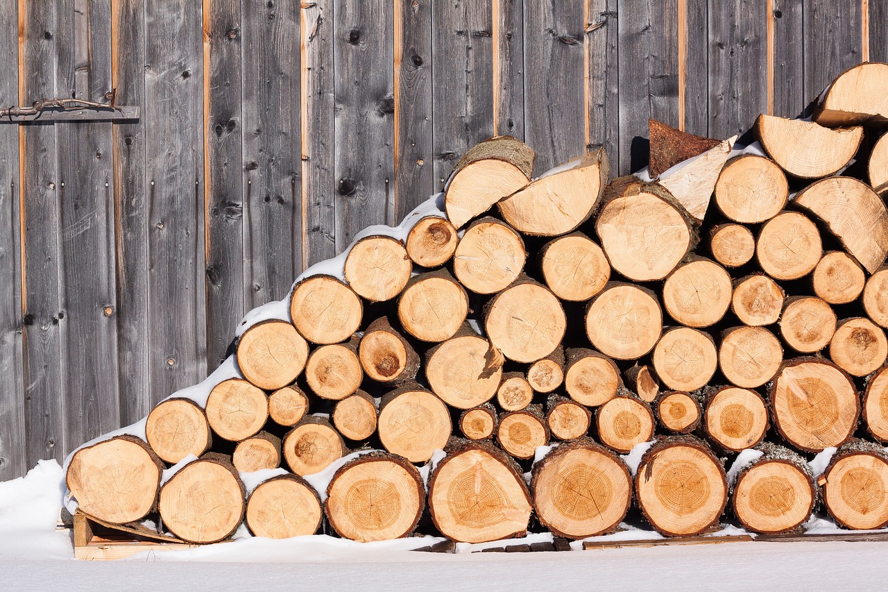 Comment choisir le meilleur bois de chauffage pour votre maison